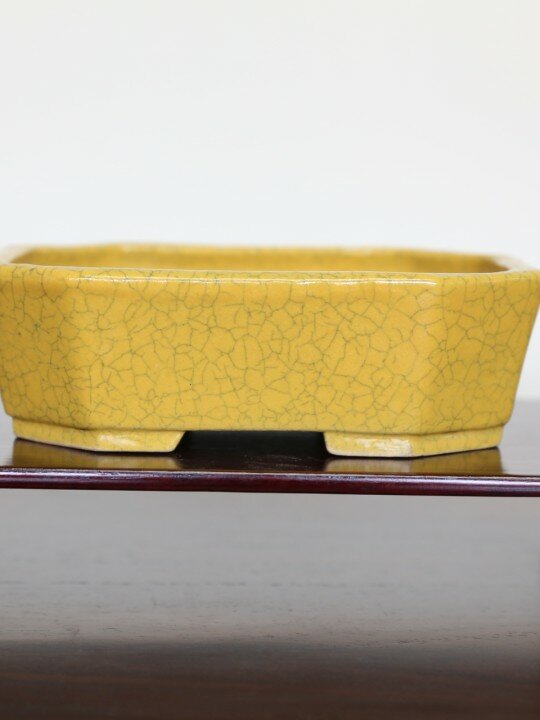 KY-17 Koyo yellow 17.5L x 13W x 5H 480g front