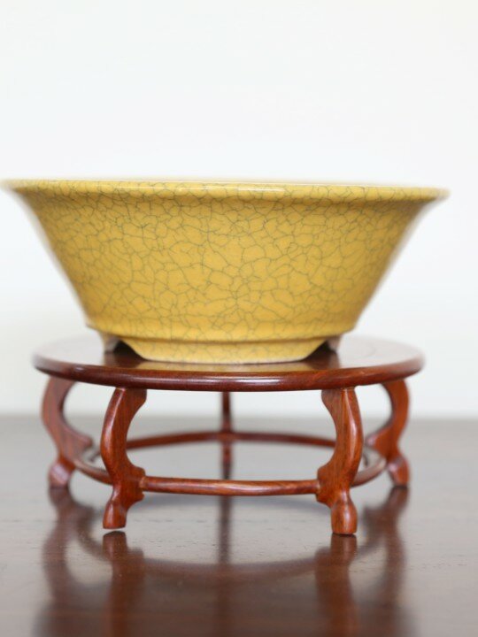 KY-19 Koyo yellow 15.5D x 5.5H 350g front